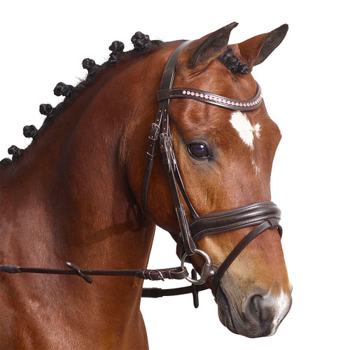 Light Pink Crystal Browband - MissDarcy