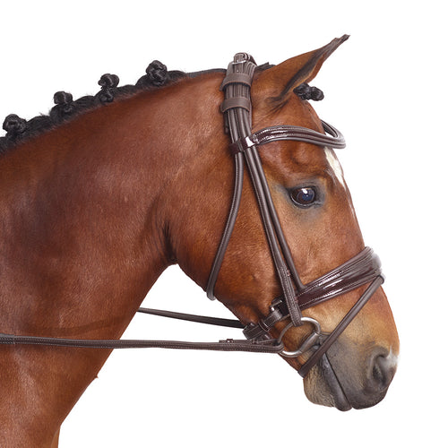 The Chelsea Bridle - MissDarcy