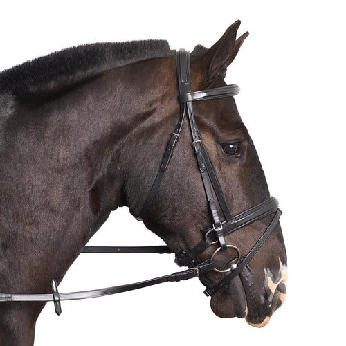 The Kensington Bridle - MissDarcy