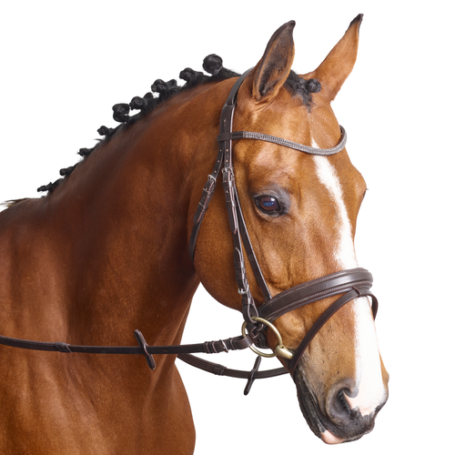 Nightfall Browband - MissDarcy