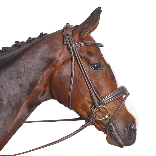 The Westminster Bridle - MissDarcy