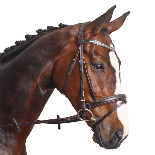 Classic Crystal Curve Browband - MissDarcy